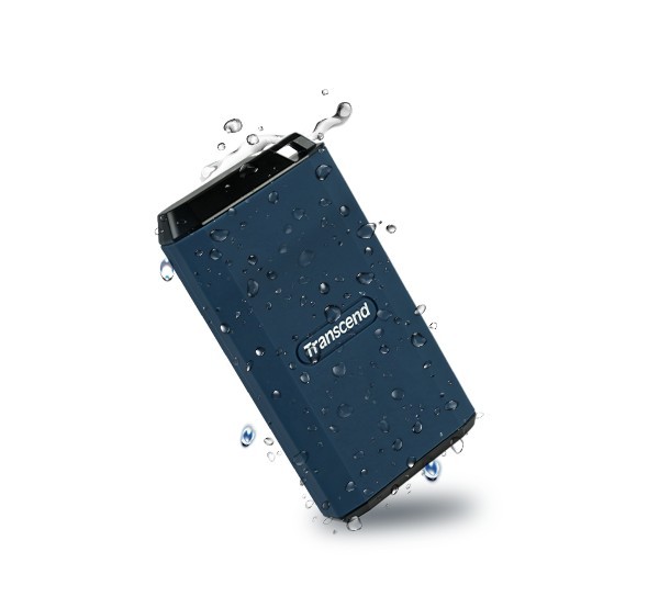 EXT SSD 4TB ESD410C (Portable SSD) BY ORDER - Image 2